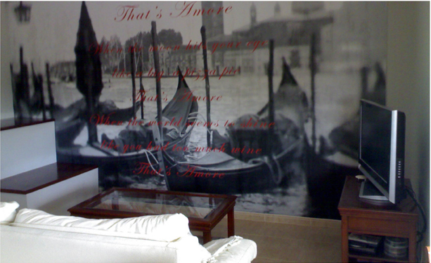 Servicio Vinilo - DAVID PARRES - Pintores y empapeladores. Pintura y decoración.